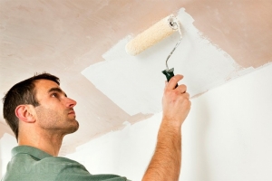 Как выбрать водоэмульсионную краску для потолка