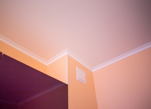 Как выбрать водоэмульсионную краску для потолка