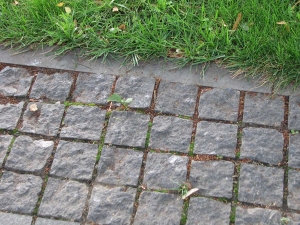 Какие виды тротуарной плитки  бывают