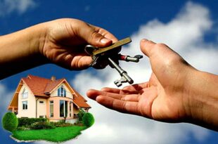 Аренда квартиры на длительный срок через агентство недвижимости: преимущества и особенности