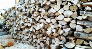 Как заказать дрова с доставкой по Москве: удобство и экологичность