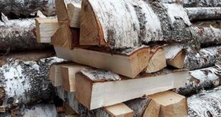 Березовые дрова: идеальное топливо для отопления и бани
