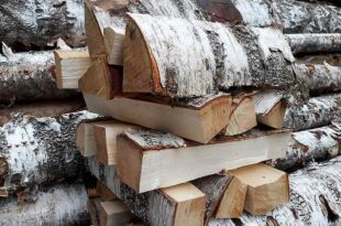 Березовые дрова: идеальное топливо для отопления и бани