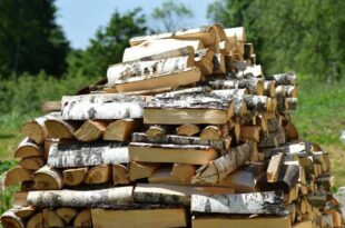 Все, что вам нужно знать о покупке дров с доставкой