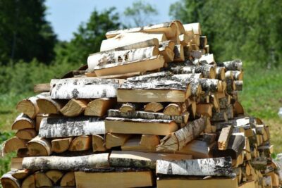 Все, что вам нужно знать о покупке дров с доставкой