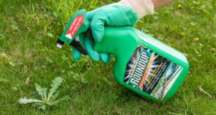 Раундап Макс: улучшенный гербицид для эффективного борьбы со сорняками